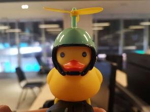 车内摆件吃瓜鸭,趣味与创意的完美结合