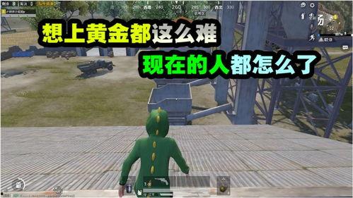 吃瓜不如吃鸡什么意思,揭秘网络流行语的趣味与内涵
