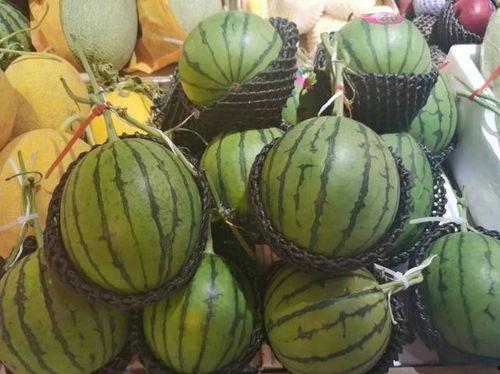 吃瓜小靓,揭秘娱乐圈幕后故事