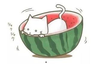 遇狠吃瓜人,揭秘娱乐圈的残酷真相