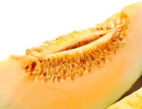 直接吃的蜜瓜,尽享新鲜蜜瓜美味之旅