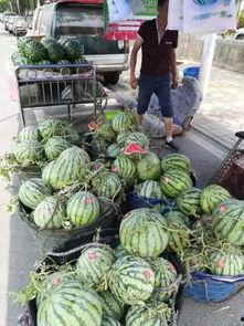 平遥吃瓜事件,一场引发热议的网络狂欢与反思