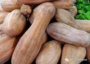 长年吃方瓜好马,健康好马相伴