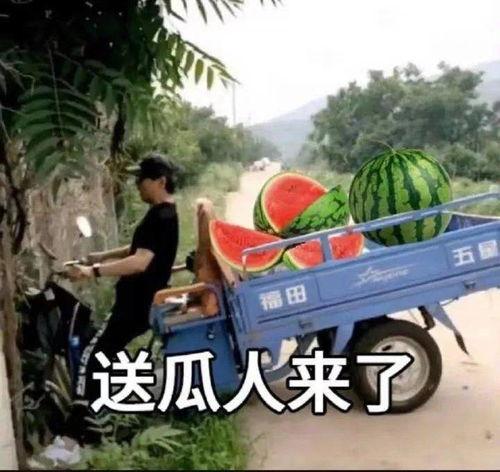 吃瓜新瓜事件,揭秘娱乐圈最新热点