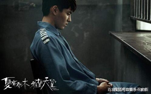 夏木吃瓜后续,揭秘娱乐圈背后的秘密与真相