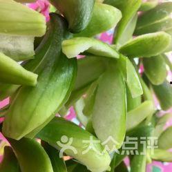 小园蓝瓜怎么吃