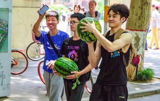 国外学校吃瓜,一场别开生面的“吃瓜”盛宴