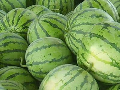 吃西瓜如何切瓜好看,解锁夏日美味视觉盛宴