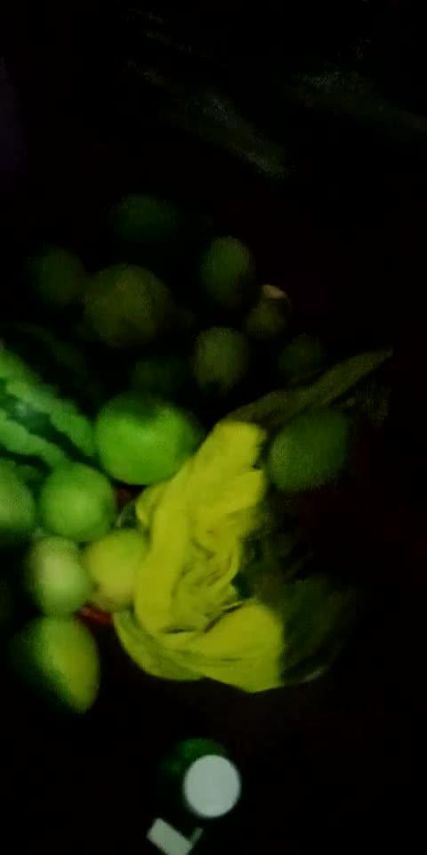 偷瓜吃瓜,一场欢乐的夏日冒险