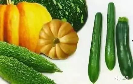 吃瓜三岁,揭秘儿童娱乐新趋势