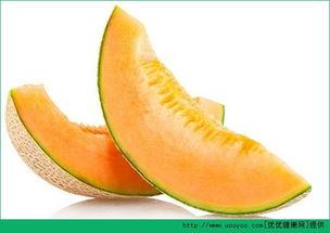 幼犬吃哈密瓜好吗,幼犬食用哈密瓜的安全性探讨