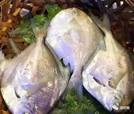 潮汕吃大瓜,大瓜的独特风味与食文化