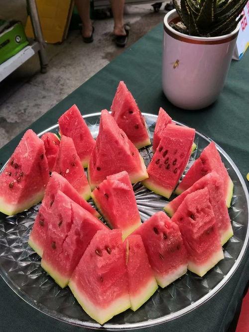 最近宁夏吃瓜事件,揭秘背后真相与网络舆论风暴