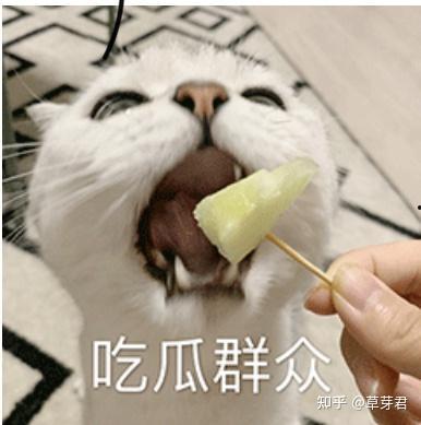 吃瓜遗传现象,家族遗传现象背后的秘密