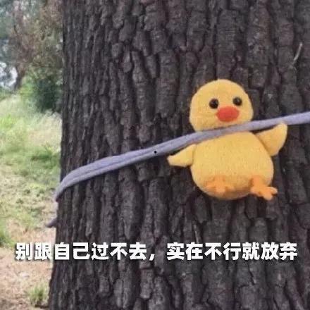 长期吃瓜群头像,揭秘长期吃瓜群头像背后的故事