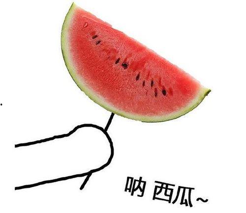 闲人吃瓜头像男生,男生视角下的趣味生活瞬间