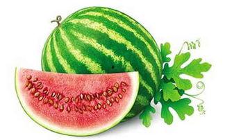 冬日吃瓜,冬日暖阳下的甜蜜瓜果盛宴